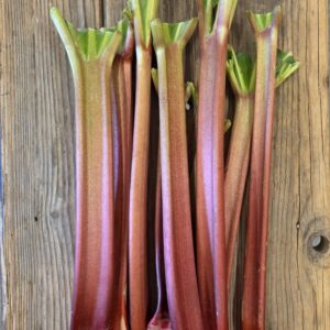 Rhubarbe (au kilo)