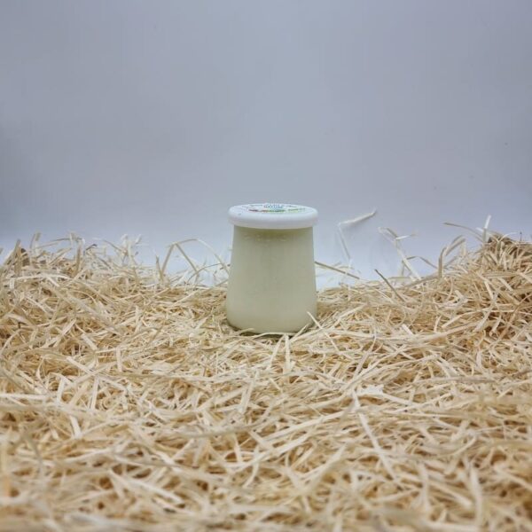 Yaourt fermier au lait de CHEVRE AB - NATURE - 125ml