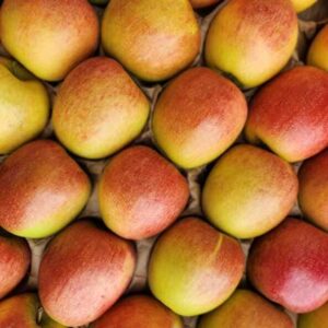 Pomme Braeburn