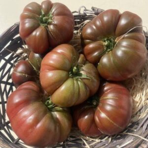 Tomate ancienne Noire de Crimée