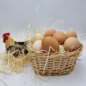 06 œufs extra frais BIO SANS OGM (La boîte de 06)