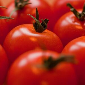 Tomate ronde à farcir (au kilo)