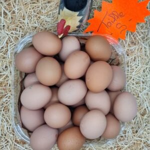 Œuf extra frais PETIT (La boîte de 12)