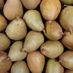 Poire Morgane - Ferme Reymann Raedersheim