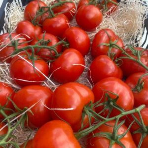 Tomate ronde GRAPPE (au kilo)