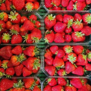 Fraise Alsace