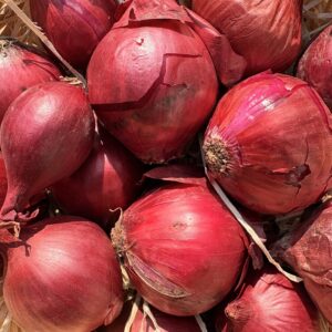 Oignon rouge (au kilo)